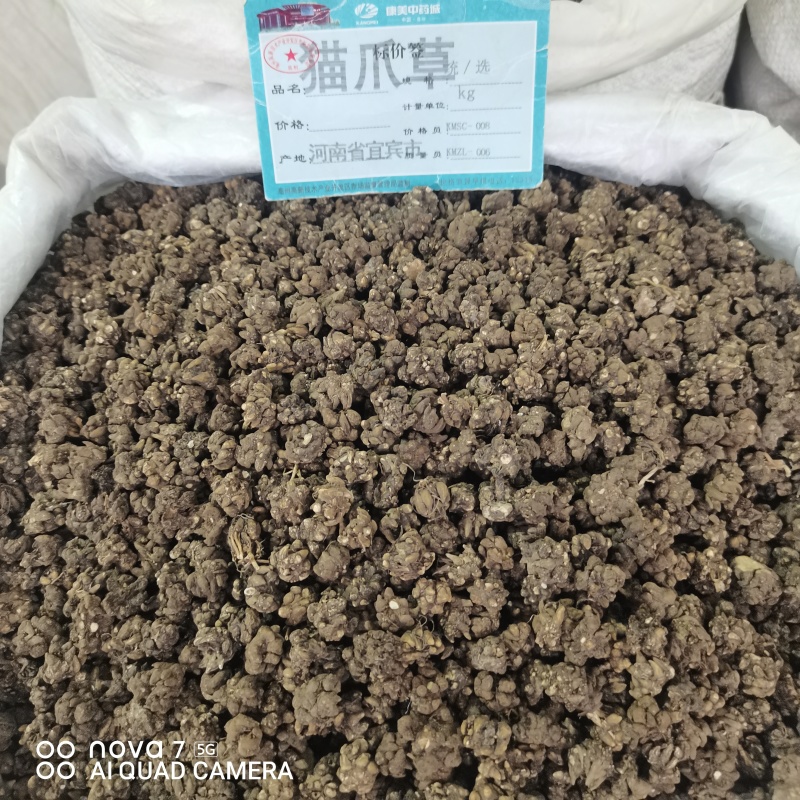 猫爪草精选水洗货中药材猫爪草正品保证量大从优