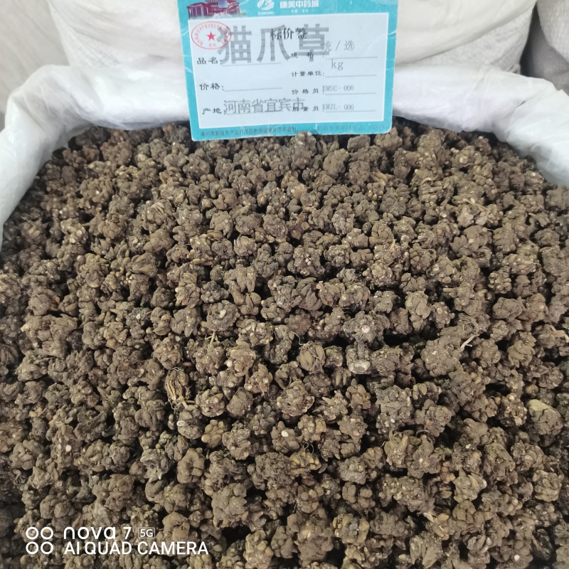 猫爪草精选水洗货中药材猫爪草正品保证量大从优