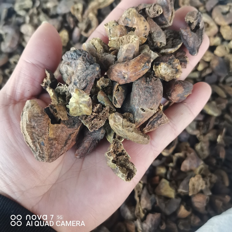 柯子中药材柯子肉规格齐全量大从优支持一件代发