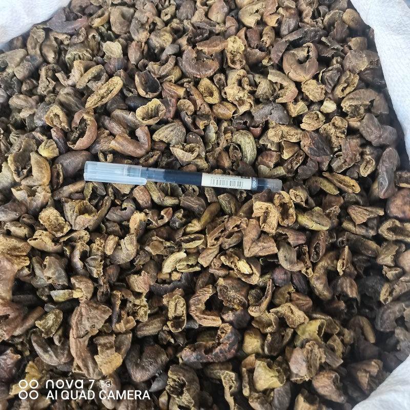 柯子中药材柯子肉规格齐全量大从优支持一件代发