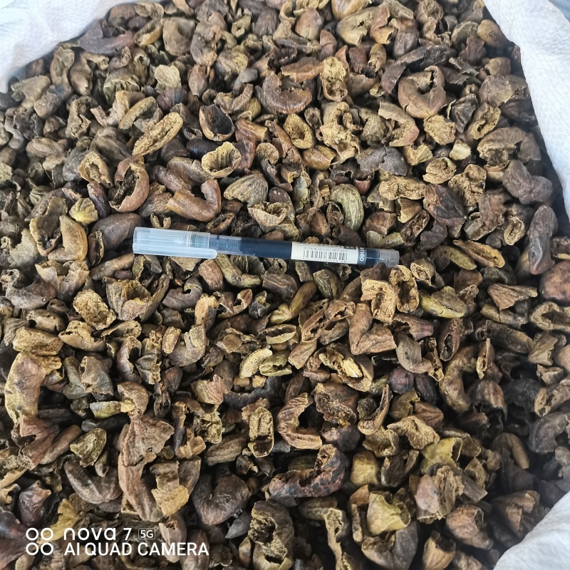 柯子中药材柯子肉规格齐全量大从优支持一件代发