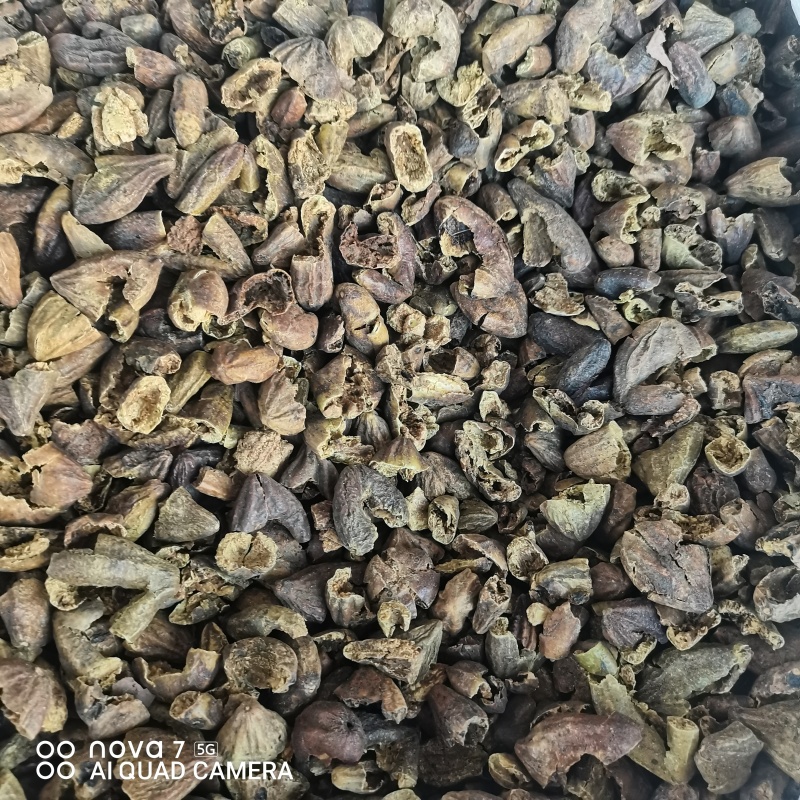 柯子中药材柯子肉规格齐全量大从优支持一件代发