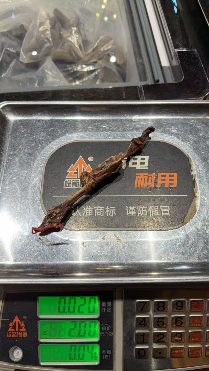 东北鹿鞭电商供货源头直发电商供应
