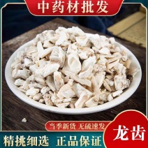 包邮）龙齿中药材正宗新货白龙齿生龙齿500g