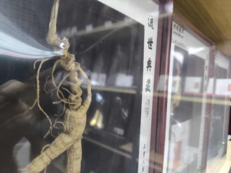 林下参带证带礼盒山参林下籽送礼电商件代发