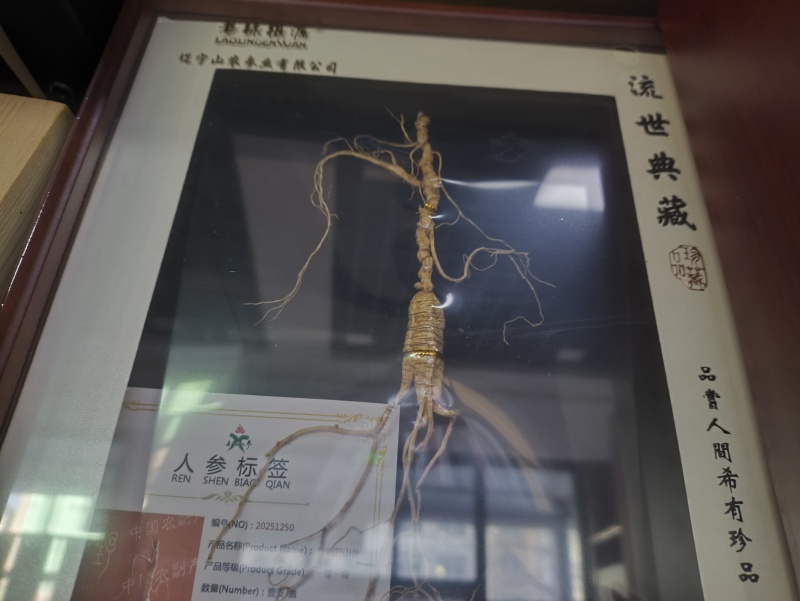 林下参带证带礼盒山参林下籽送礼电商件代发
