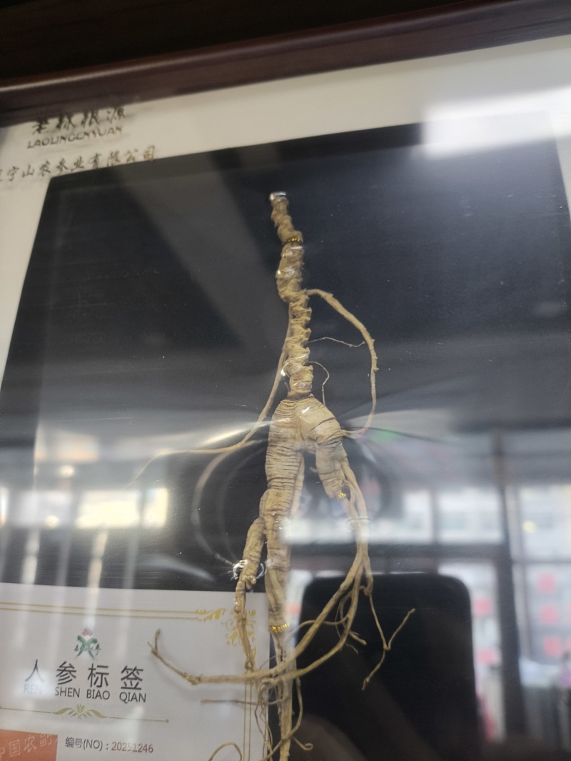 林下参带证带礼盒山参林下籽送礼电商件代发