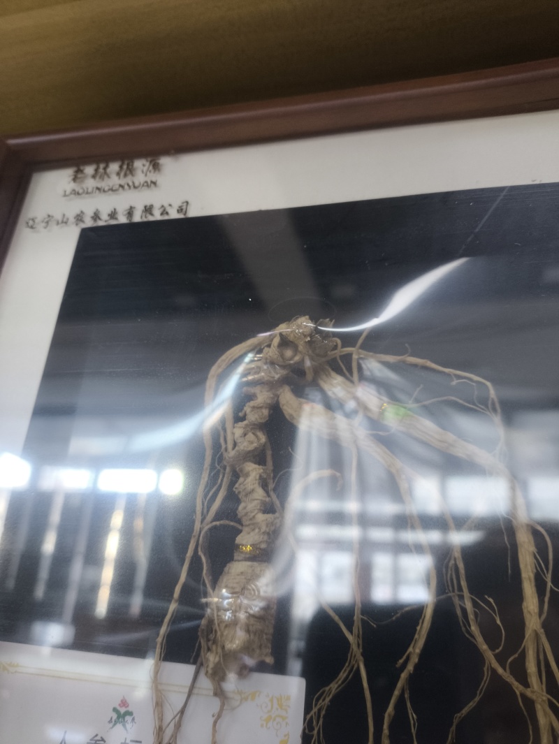 林下参带证带礼盒山参林下籽送礼电商件代发