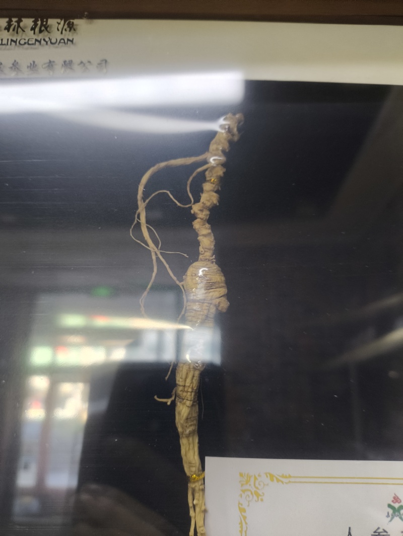 林下参带证带礼盒山参林下籽送礼电商件代发