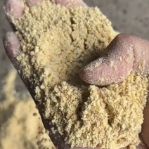 玉米次粉