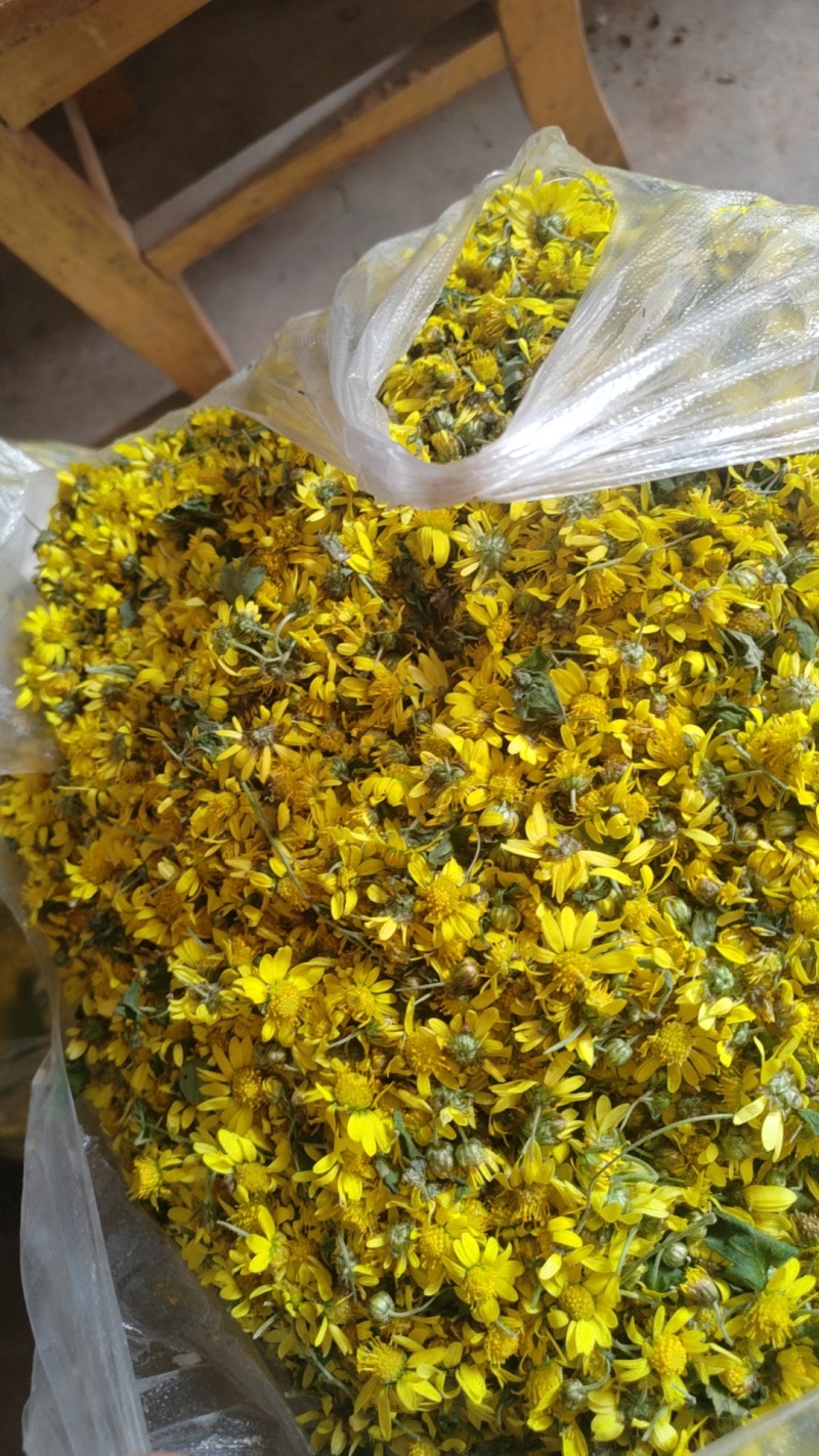 野菊花湿的新鲜的