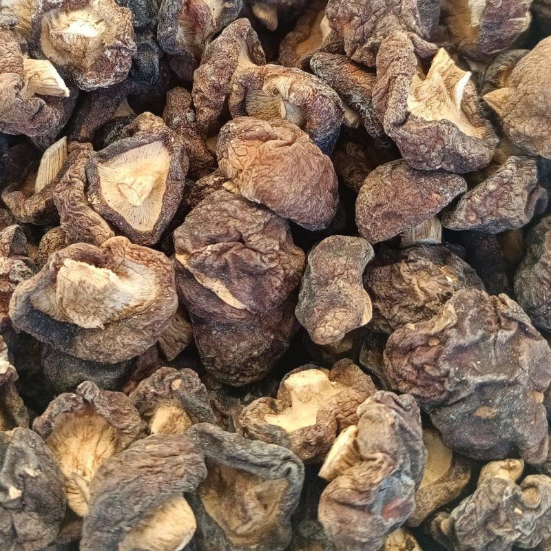 干香菇，香菇脚