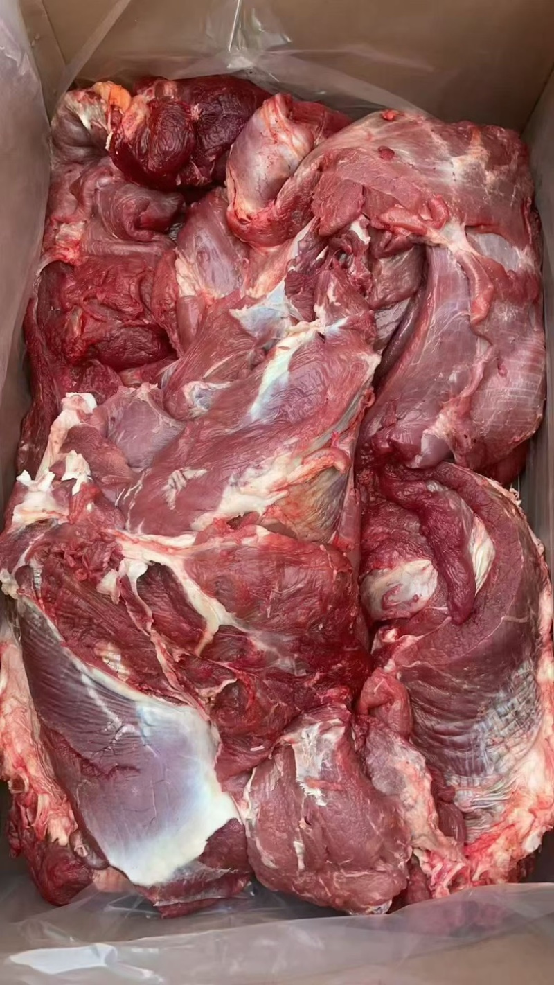 纯干牛肉一手货源