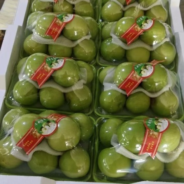 牛奶枣