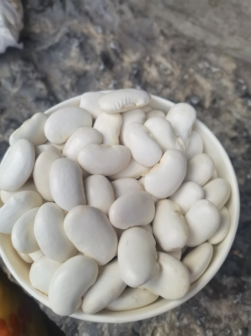 象图大白芸豆