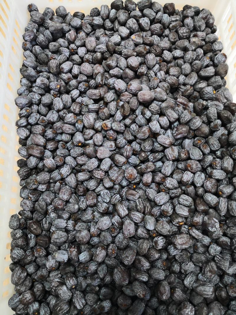 太行山无核黑枣价格优惠品质保证欢迎下单来电洽谈