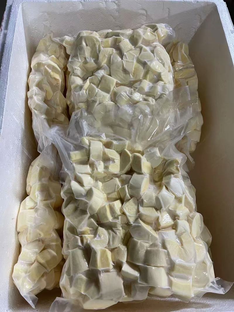 大量供应华南九号黄心木薯欢迎各位老板合作共赢