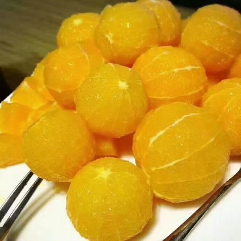 冰糖橙