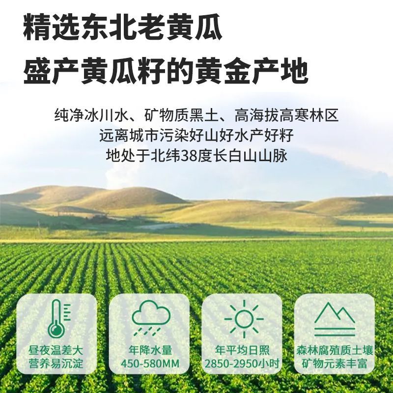 黄瓜籽粉纯正宗东北老黄瓜籽高钙生熟食用现磨熟黄瓜籽粉