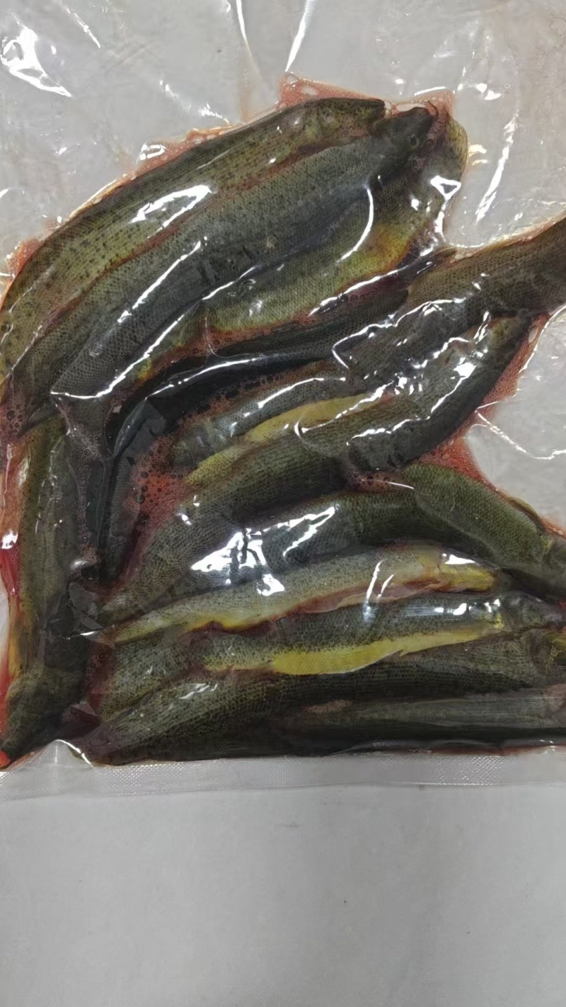 泥鳅加工中，活泥鳅现杀精品，可按要求接单加工