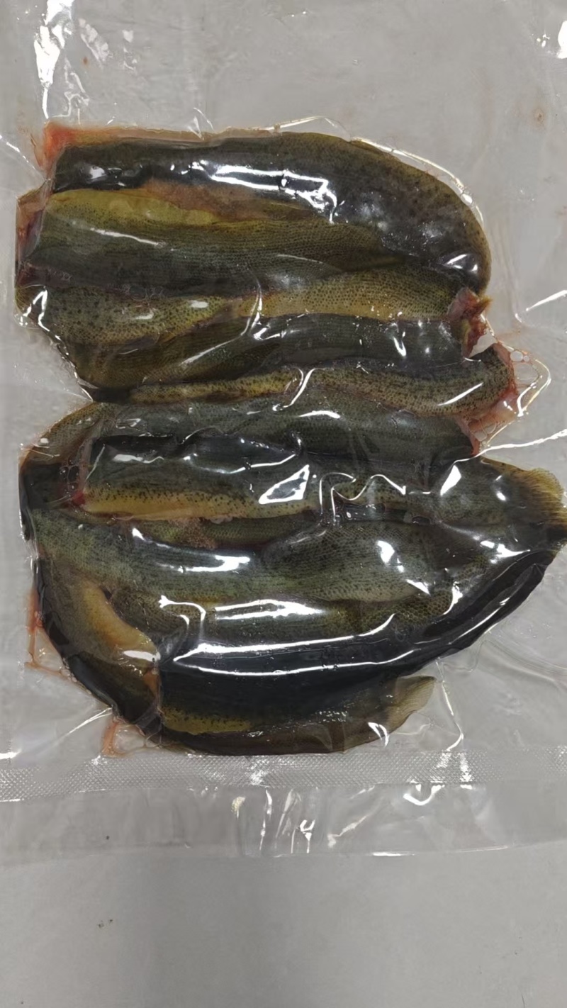 泥鳅加工中，活泥鳅现杀精品，可按要求接单加工
