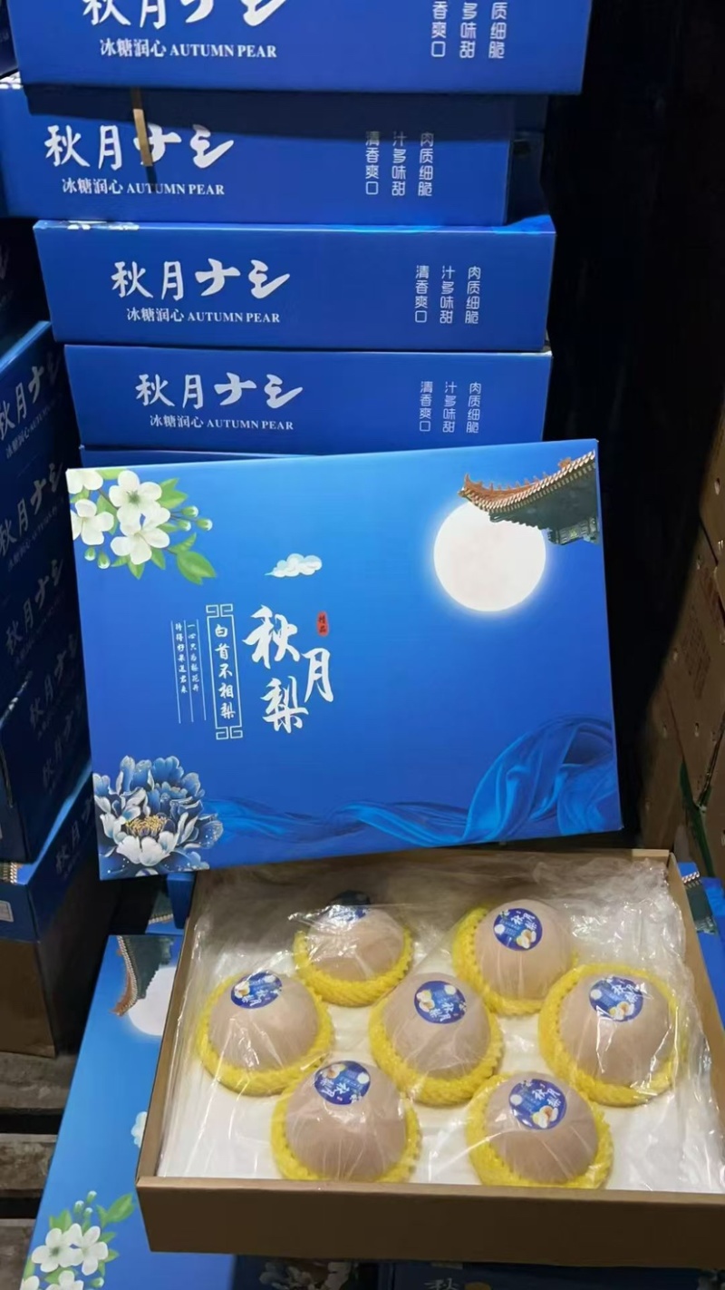秋月梨大量供应专业代办代发诚信经营欢迎老板来电