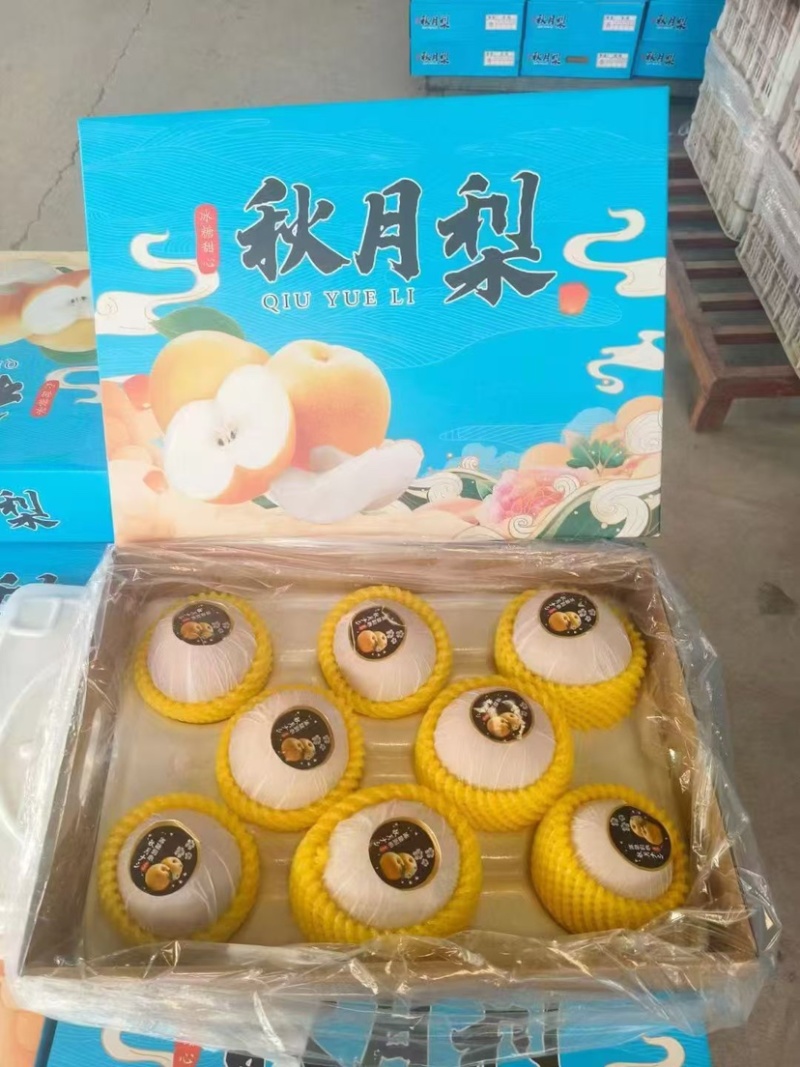 秋月梨大量供应专业代办代发诚信经营欢迎老板来电