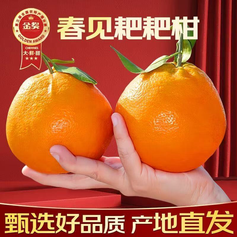 【四川耙耙柑】眉山春见柑桔/纯甜无渣/一件批发日供应2万单