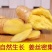 【精品】云南鲜生姜现挖小黄姜量大价格可谈