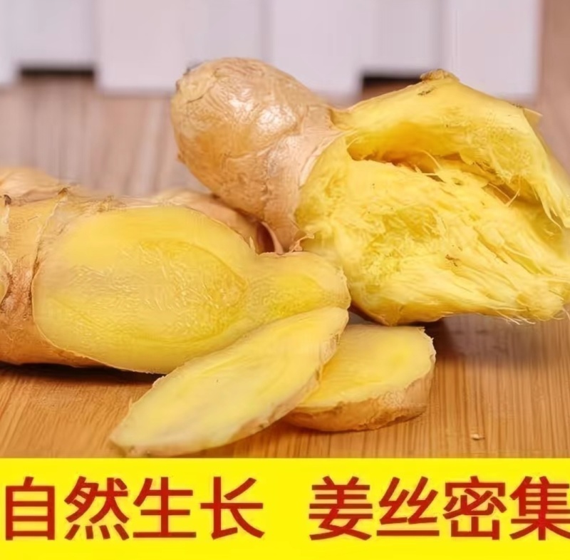 【精品】云南鲜生姜现挖小黄姜量大价格可谈