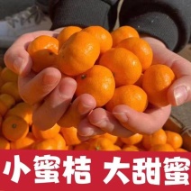 【四川砂糖橘】四川金秋砂糖橘/电商团购一件代发日供应2万单