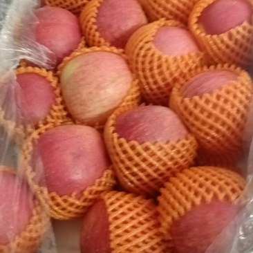 红富士苹果