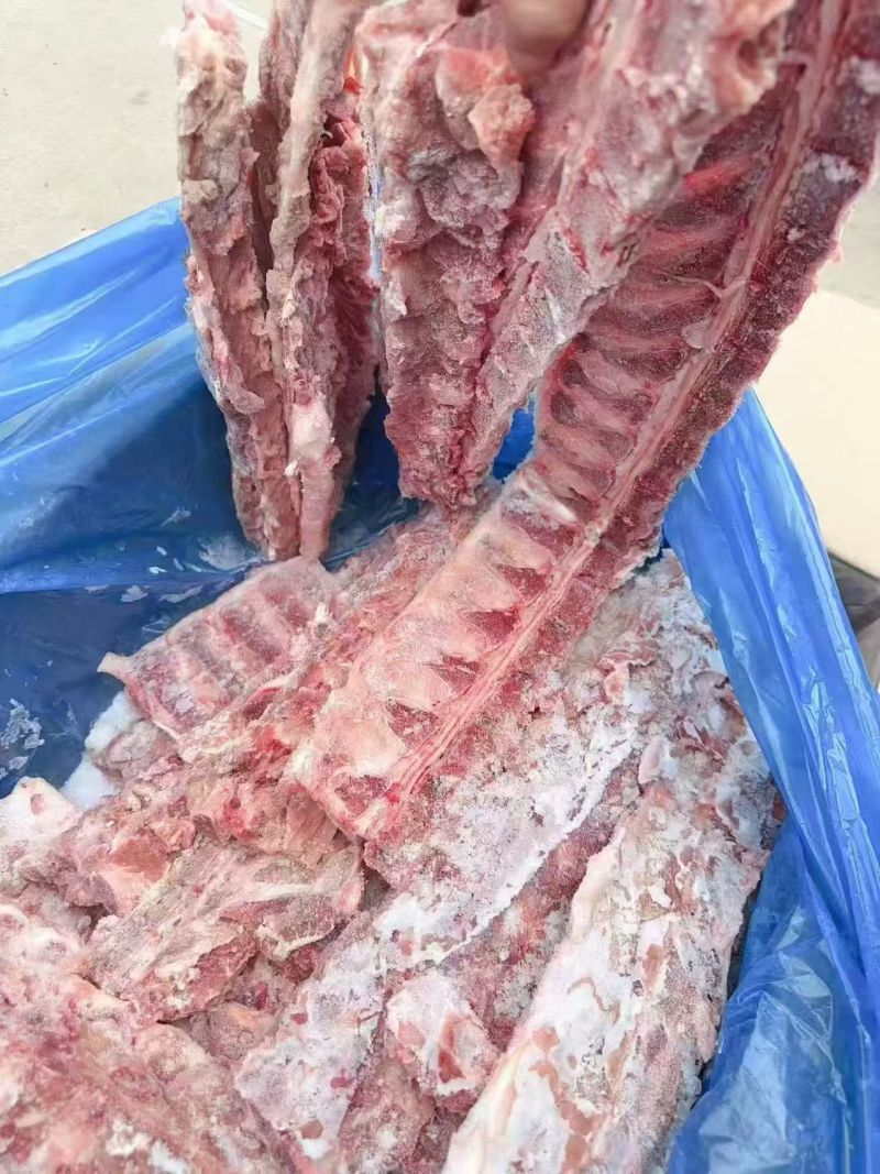 猪背骨