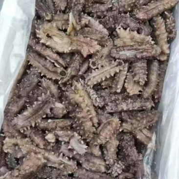 电商团购海参