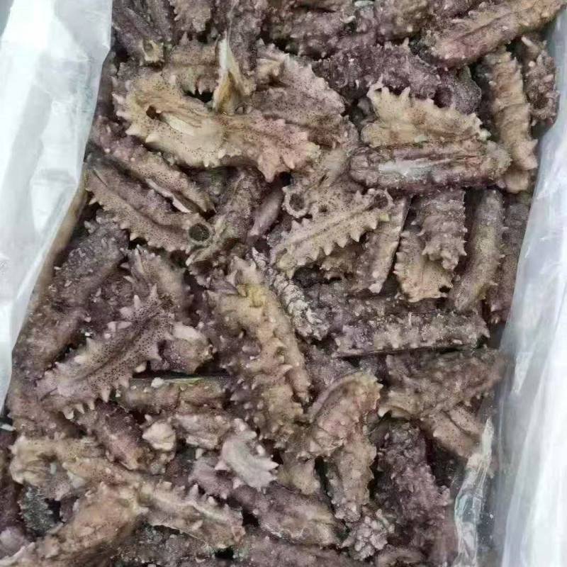 电商团购海参