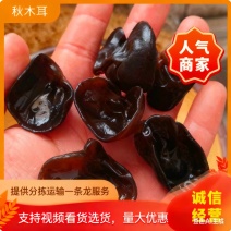 【包邮质保】黑木耳秋木耳小碗耳质量保证一手货源欢迎