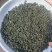 日照绿茶晚秋寒露茶质量保证山东基地直供规格齐全全国发货