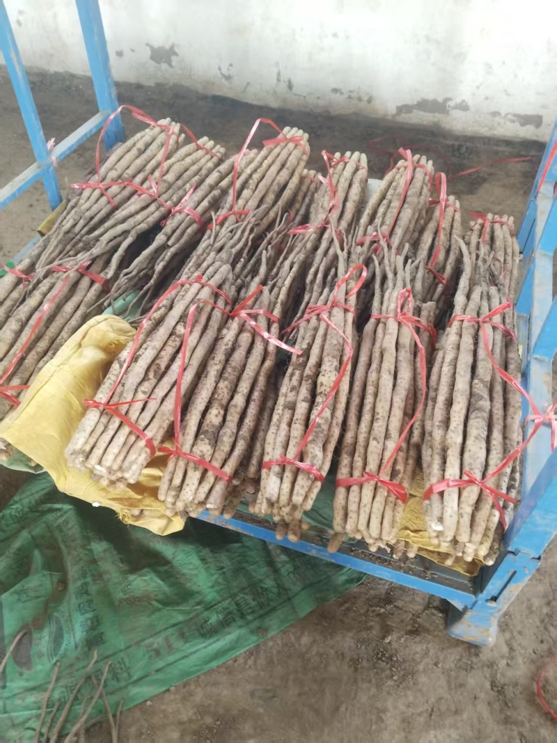 温县正宗垆土地铁棍山药现挖现发品质保证价格实惠