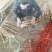 温县正宗垆土地铁棍山药现挖现发品质保证价格实惠