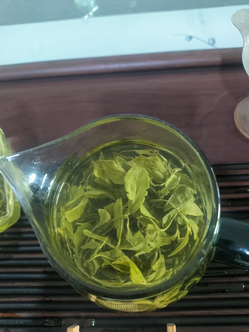 日照绿茶晚秋寒露茶质量保证山东基地直供规格齐全全国发货