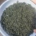 日照绿茶晚秋寒露茶质量保证山东基地直供规格齐全全国发货