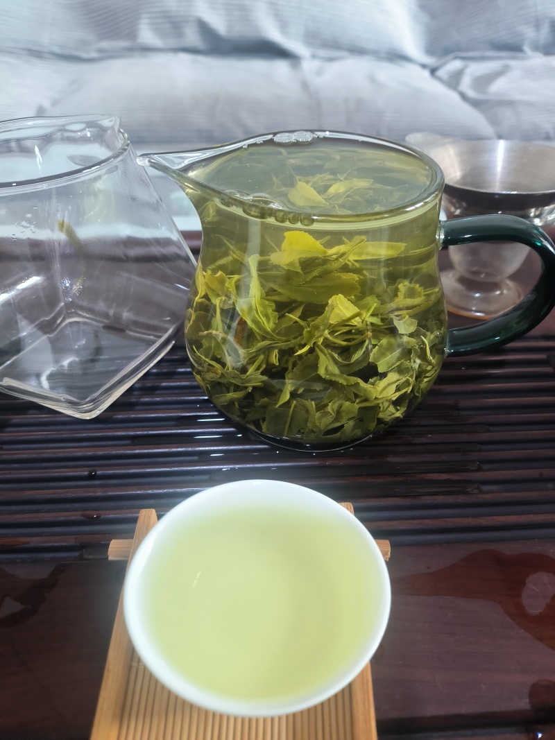 日照绿茶晚秋寒露茶质量保证山东基地直供规格齐全全国发货