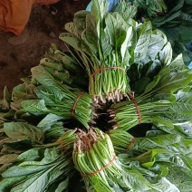扎把菠菜