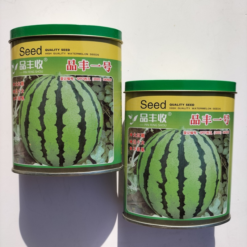 品丰一号西瓜种子籽大果抗病早熟高产耐热耐裂抗重茬田园西瓜