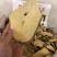 八百力巴豆根冷背中药材大全批发零售货真价实