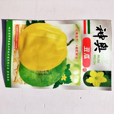神奥丑瓜甜瓜种子