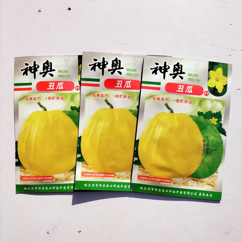 神奥丑瓜甜瓜种子