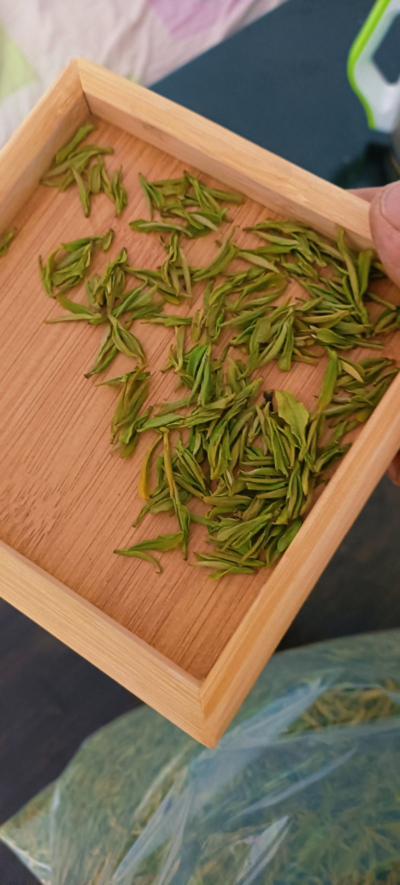 白叶1号茶叶