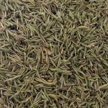 白叶1号茶叶