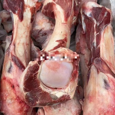 0912牛前腿骨